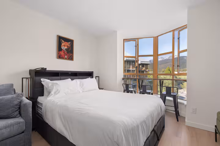 Luxe Mountain View Studio photo 4